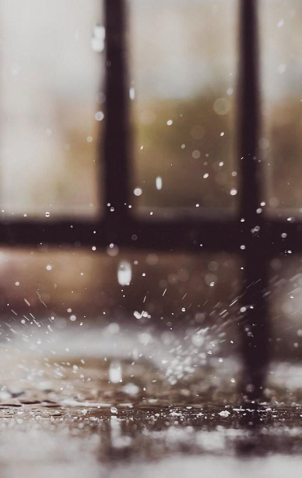 其实雨天也很美好(图2)