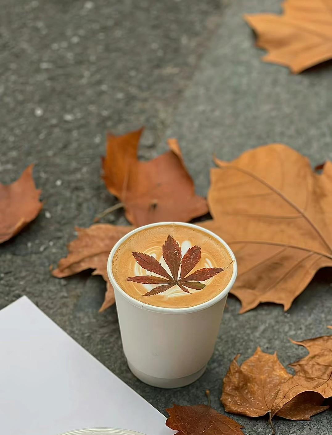 心语 学会淡看岁月流转，珍惜每个时刻的宝贵记忆(图2)