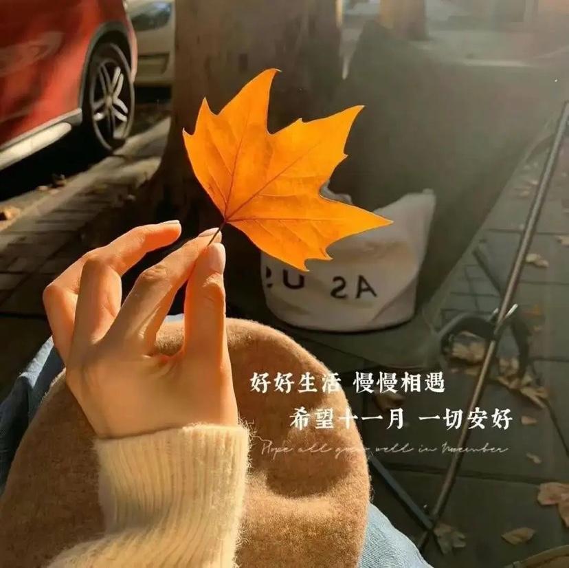 心语 学会淡看岁月流转，珍惜每个时刻的宝贵记忆(图3)