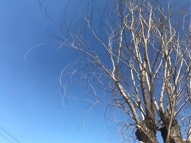 少壮不努力，老大徒伤悲。这种励志诗句对上网课的孩子没什么用！(图1)