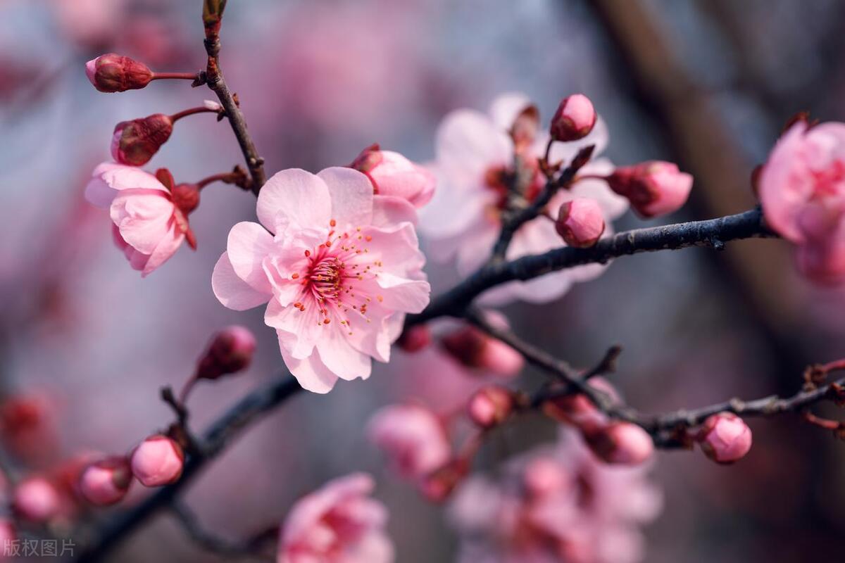 人在不顺的时候，请记住这十句话，遇到困难时多听听(图2)
