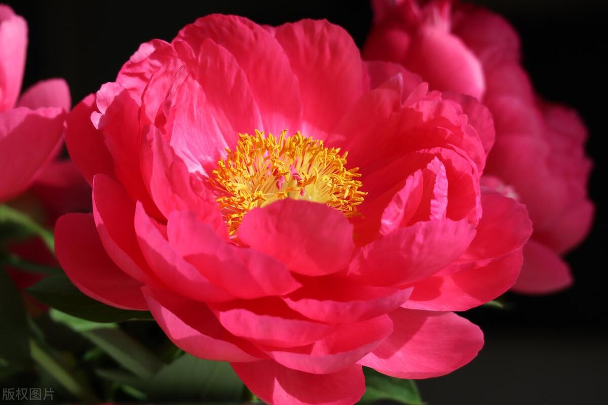 人在不顺的时候，请记住这十句话，遇到困难时多听听(图3)