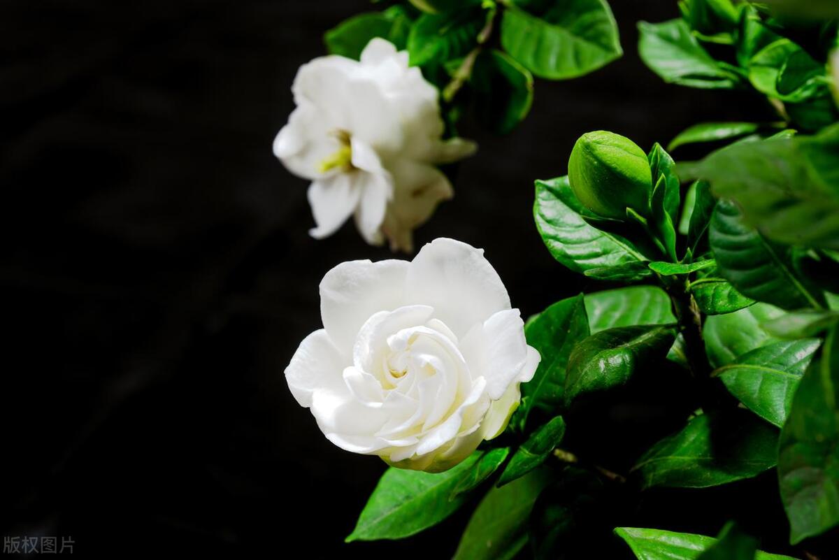 人在不顺的时候，请记住这十句话，遇到困难时多听听(图4)