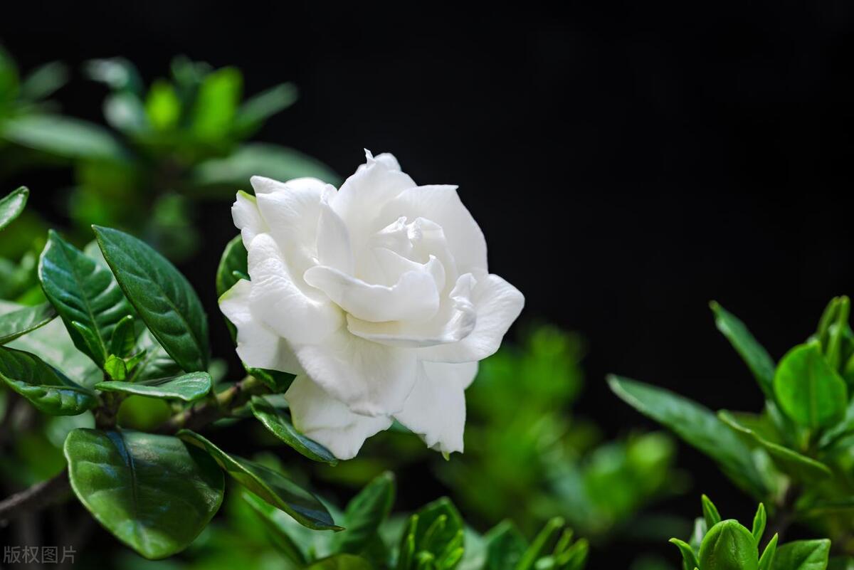 人在不顺的时候，请记住这十句话，遇到困难时多听听(图7)