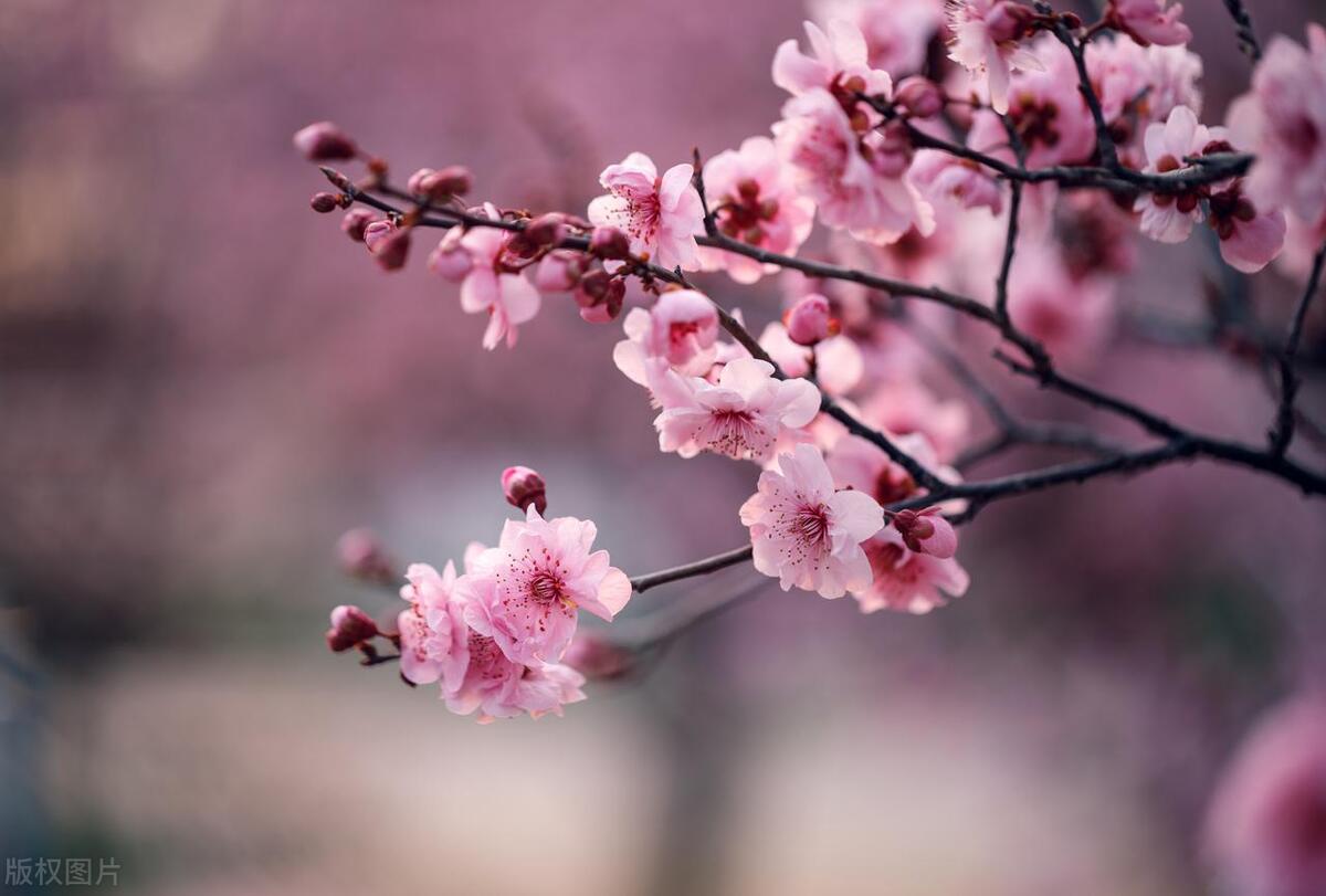 人在不顺的时候，请记住这十句话，遇到困难时多听听(图8)