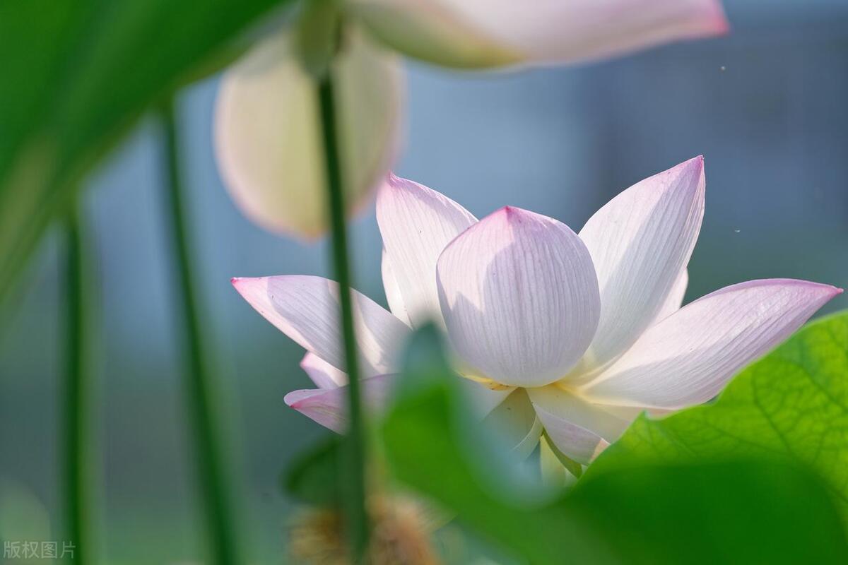 人在不顺的时候，请记住这十句话，遇到困难时多听听(图10)