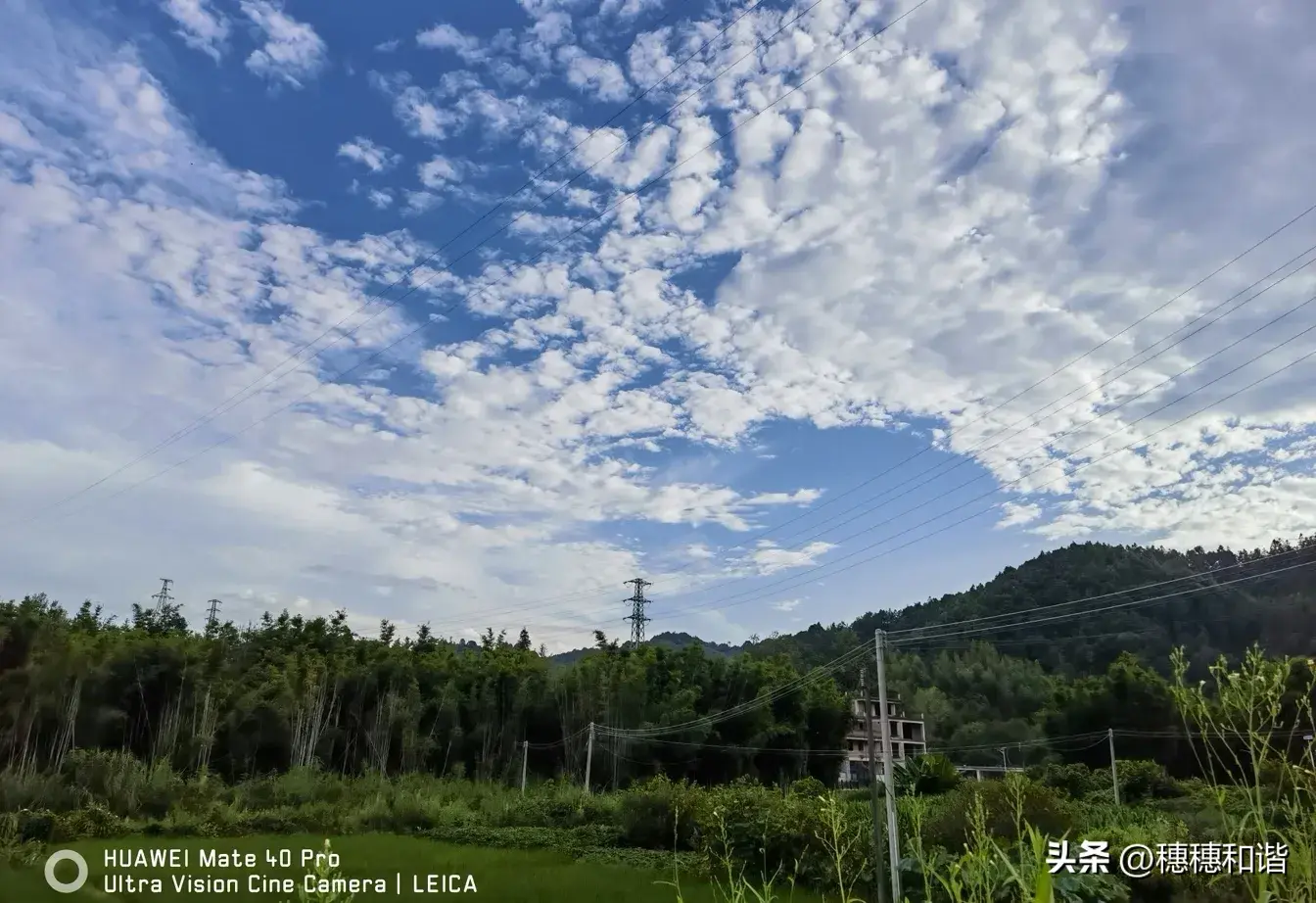 生活普普通通，乐在其中，与你同行(图1)