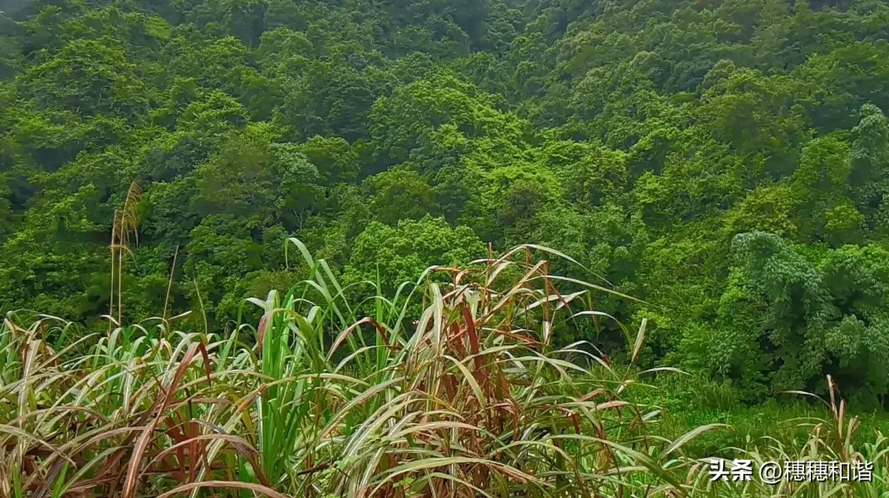 生活普普通通，乐在其中，与你同行(图3)