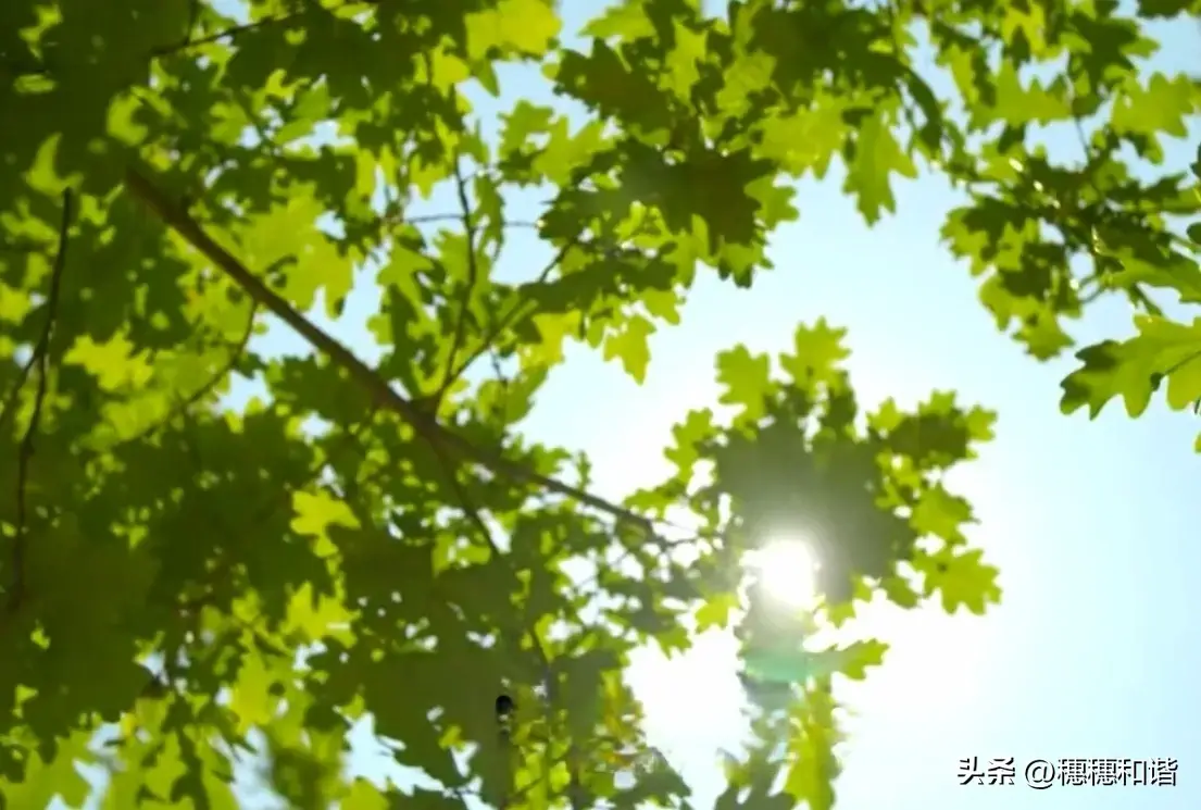 生活普普通通，乐在其中，与你同行(图5)