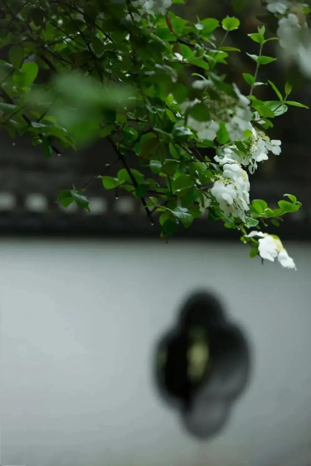 光阴静谧，走过半生(图1)