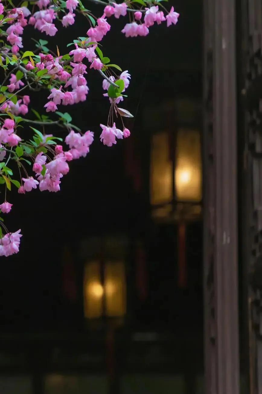 光阴静谧，走过半生(图4)