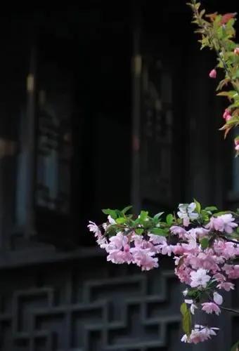 光阴静谧，走过半生(图5)