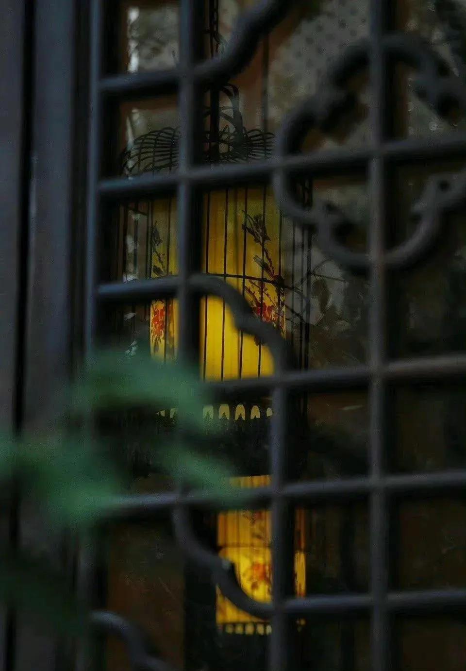 光阴静谧，走过半生(图6)