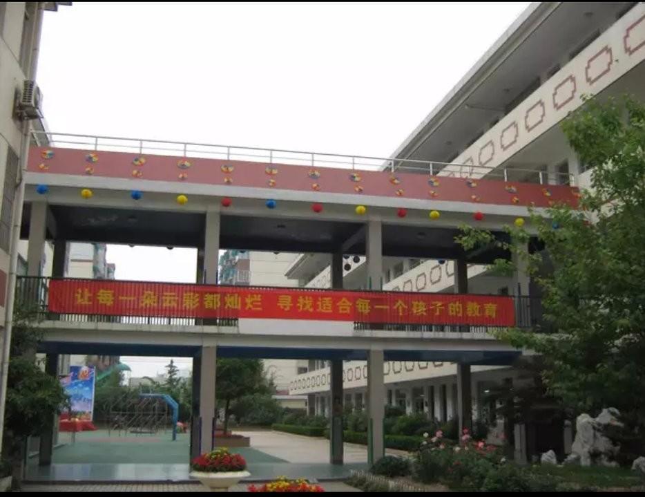 美丽的林荫小路(图2)