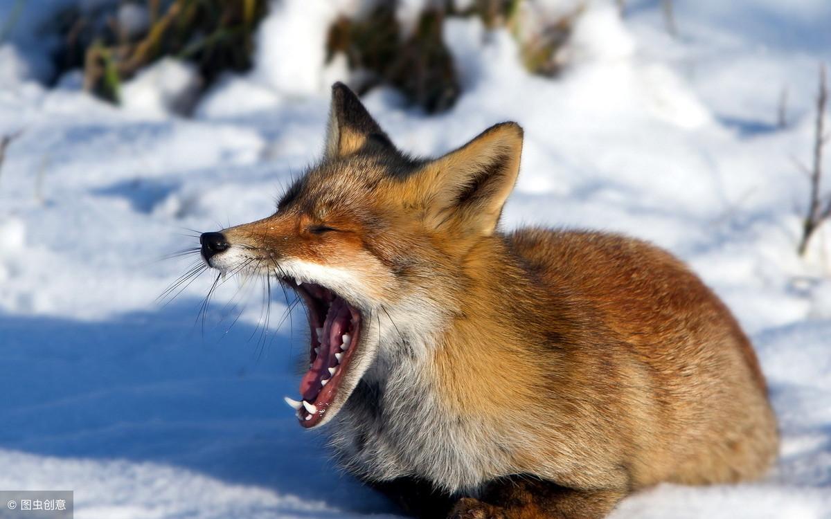 像老和尚一样去炒股：十句投资金句，句句说到本质(图10)