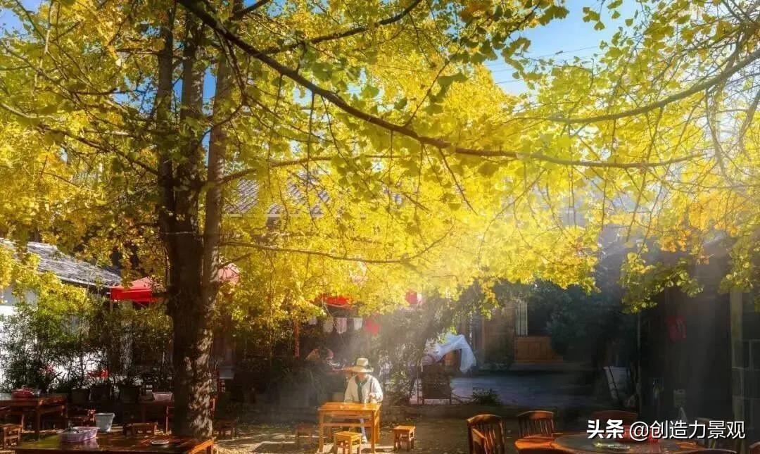 有一小院，种满繁花，天上有月，人间有你，这就是理想生活的模样(图3)