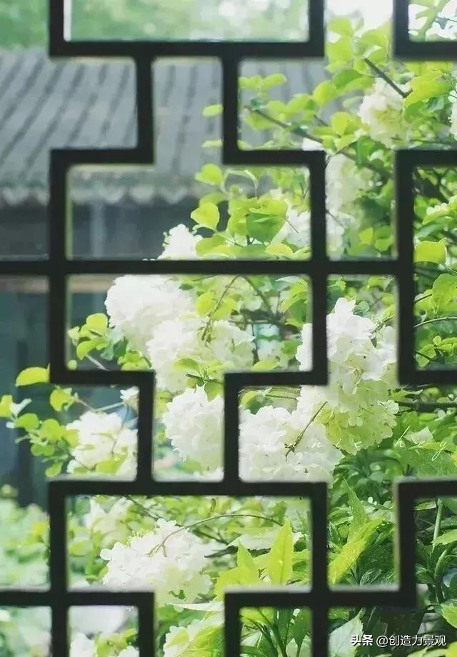 有一小院，种满繁花，天上有月，人间有你，这就是理想生活的模样(图5)