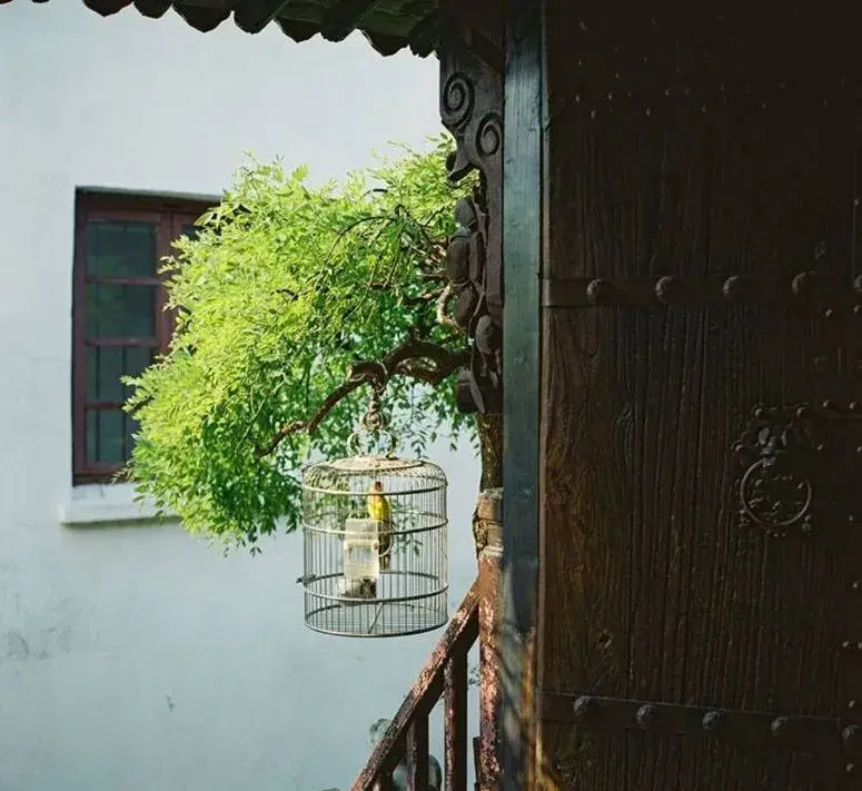 家有一方小院，闭门即是深山(图1)