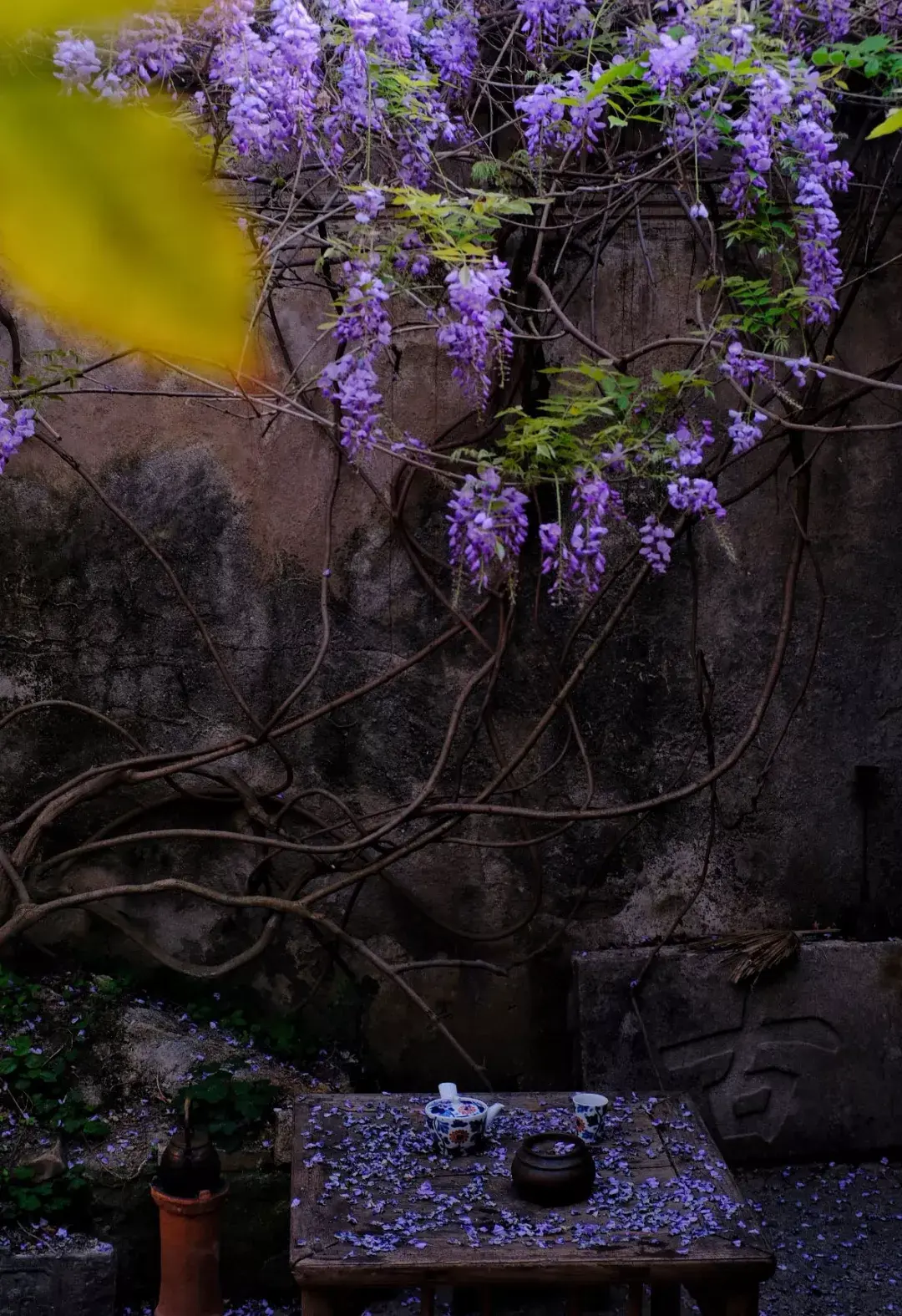 家有一方小院，闭门即是深山(图6)