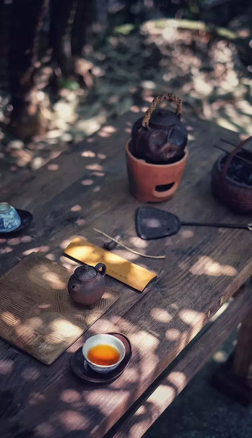 家有一方小院，闭门即是深山(图8)