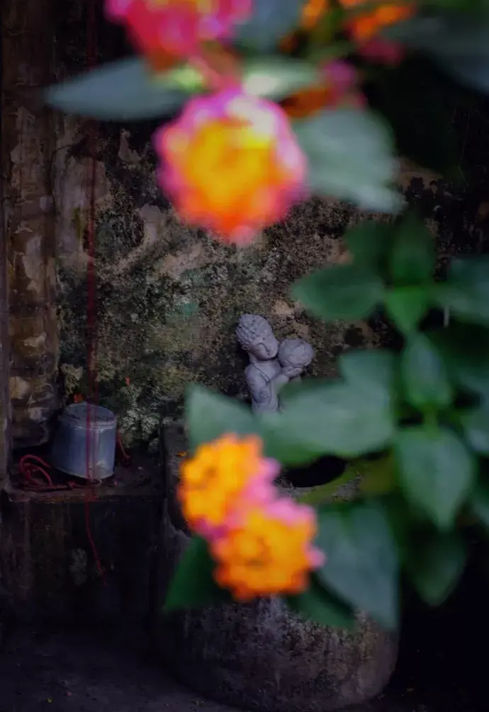 家有一方小院，闭门即是深山(图9)