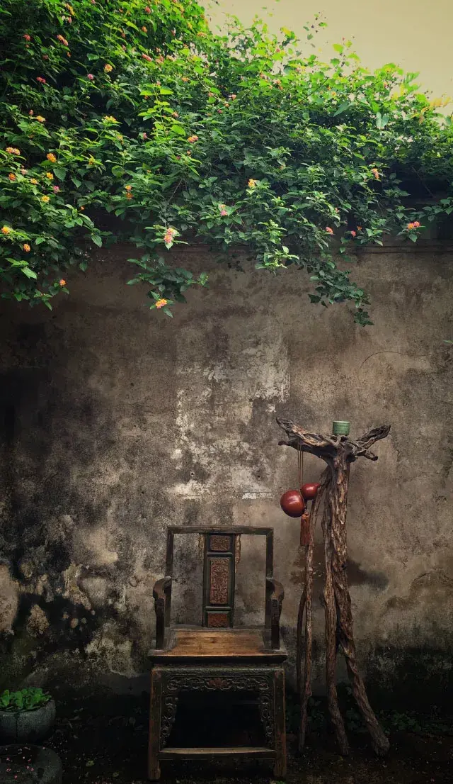 家有一方小院，闭门即是深山(图10)