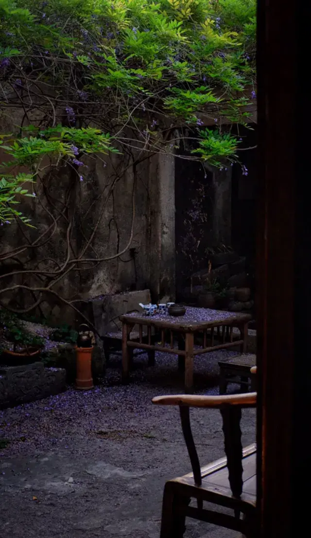 家有一方小院，闭门即是深山(图12)