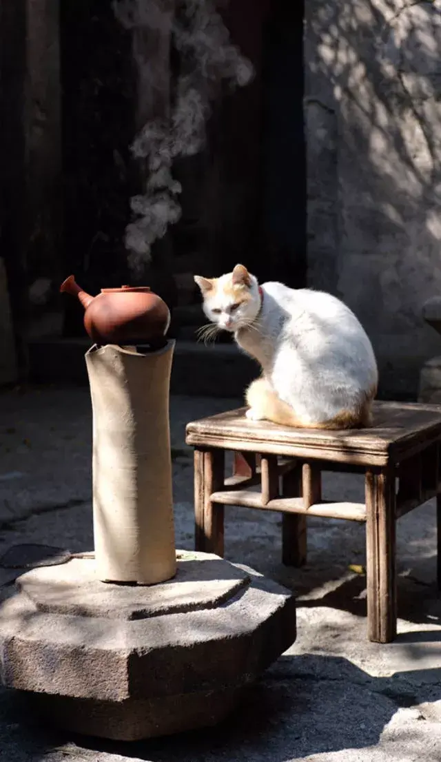 家有一方小院，闭门即是深山(图14)