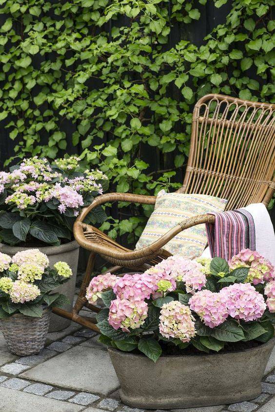 愿有一方小院，安守流年，诗意生活(图4)