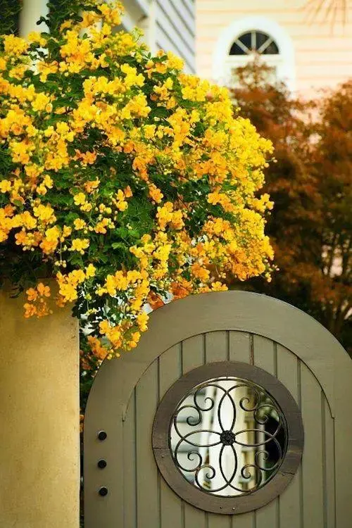 愿有一方小院,安守流年,诗意生活(图6) 愿有一方小院,安守流年,诗意生活(图6)