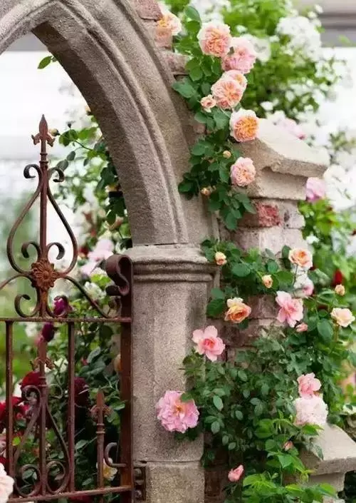 愿有一方小院，安守流年，诗意生活(图7)