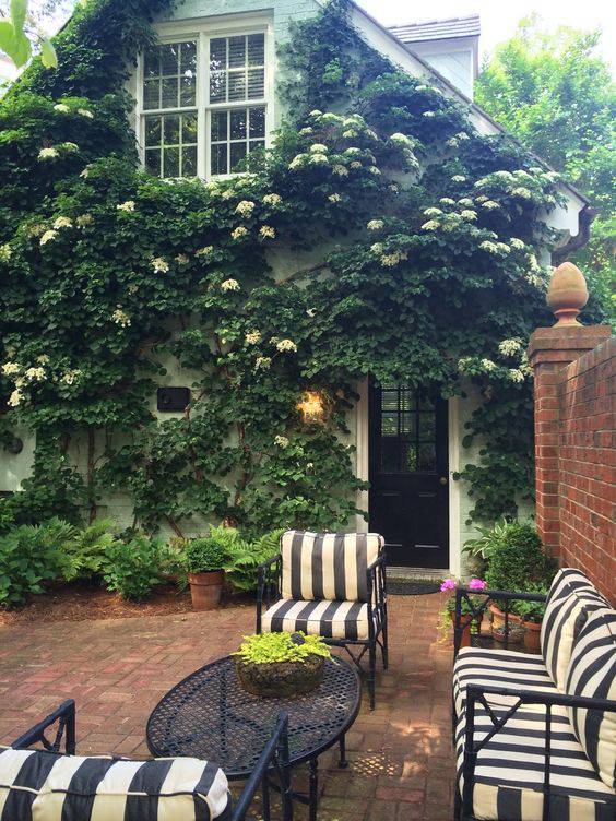 愿有一方小院,安守流年,诗意生活(图22) 愿有一方小院,安守流年,诗意生活(图22)