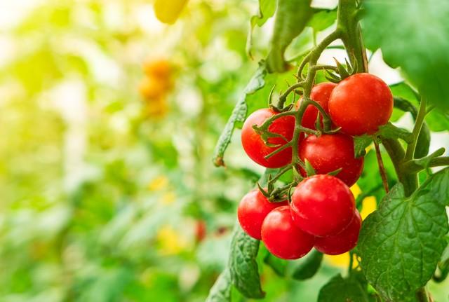 走向成功的100句励志语录！（建议收藏）(图1)