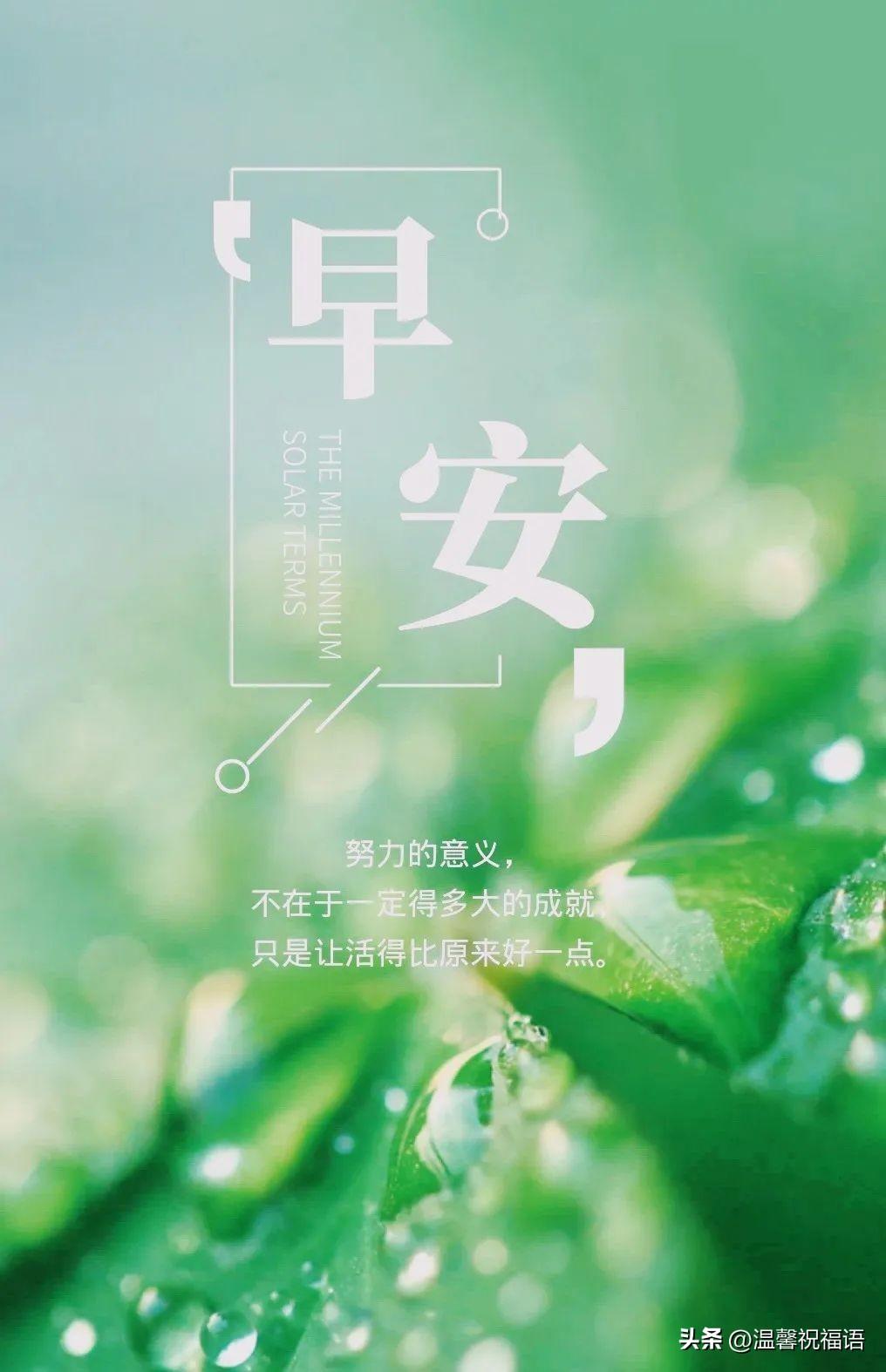 早安语录 | 关于努力，自信，梦想，坚持，成功，理想的励志句子(图3)