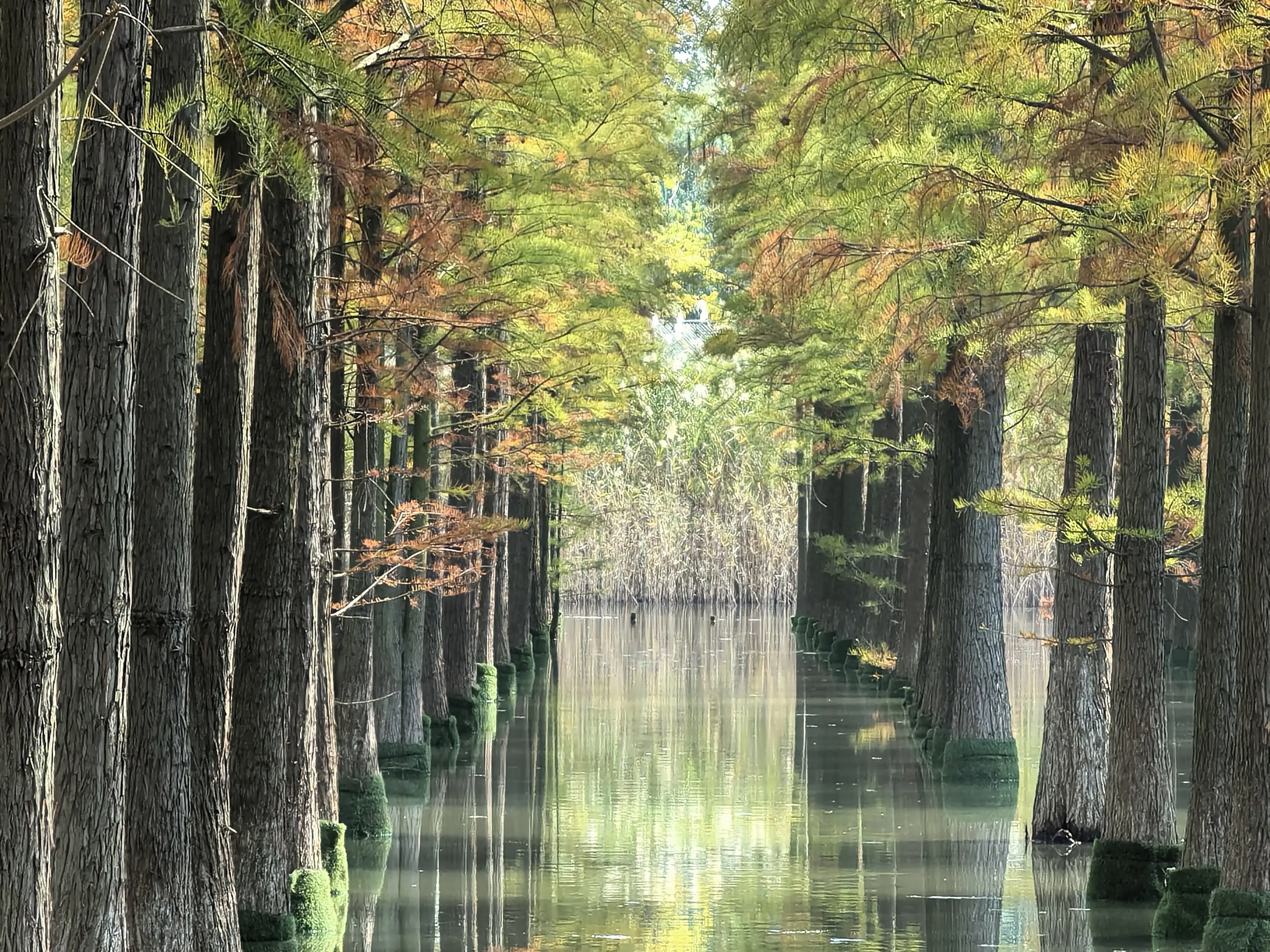 瑞雅日记丨让自己强大起来的方式：是去追求自己的梦想(图1)