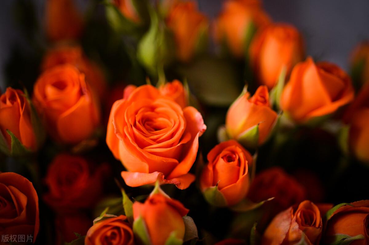 傅首尔人间清醒的语录(图2)