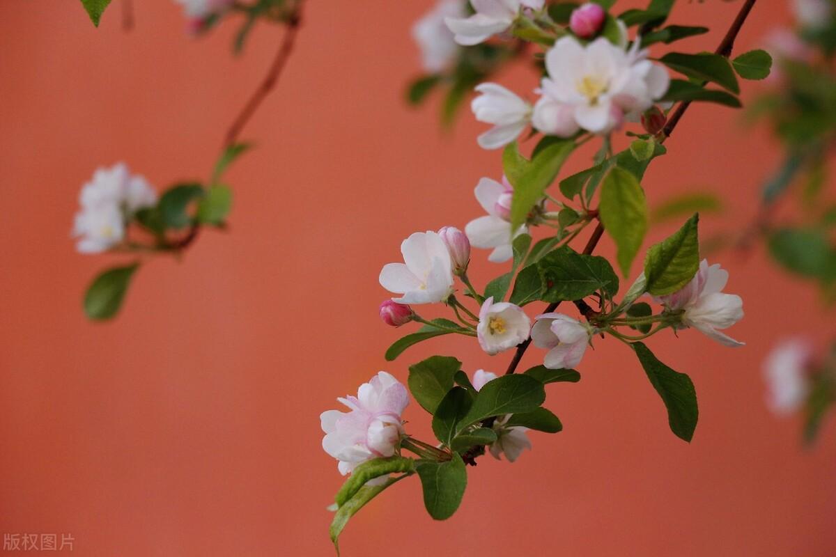 傅首尔人间清醒的语录(图3)