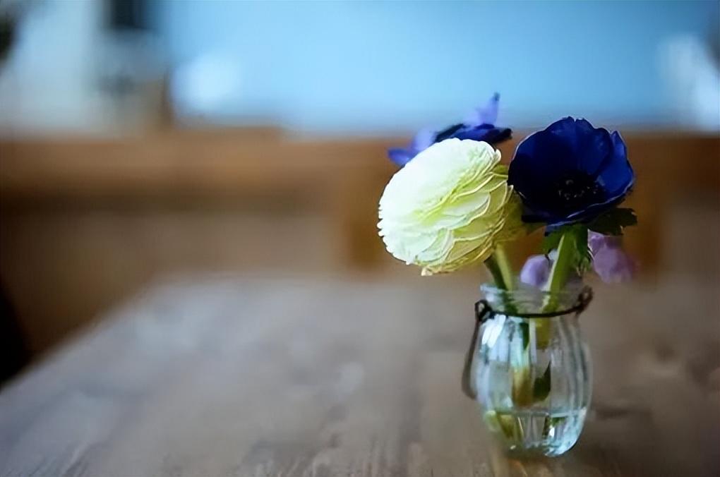 一家三口发朋友圈说说:有你们在，我的一家三口是全世界最幸福的(图1)