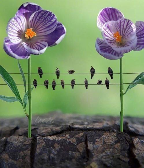 励志学习的个性经典话，挑一句话送给自己！(图1)