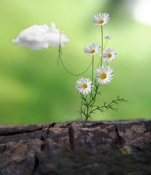 励志学习的个性经典话，挑一句话送给自己！(图2)