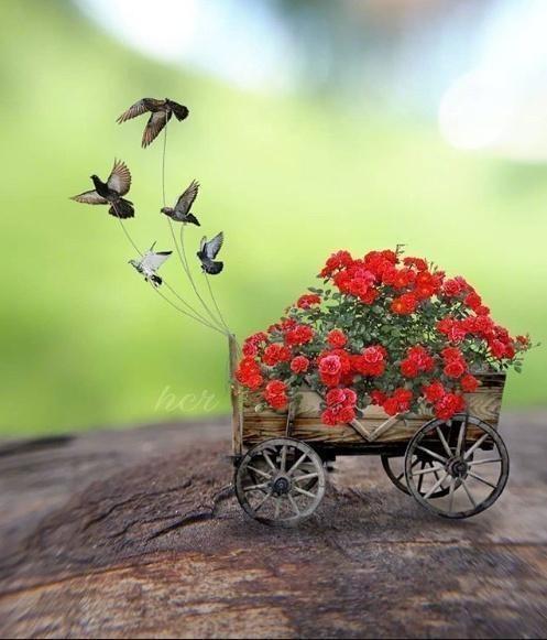 励志学习的个性经典话，挑一句话送给自己！(图3)