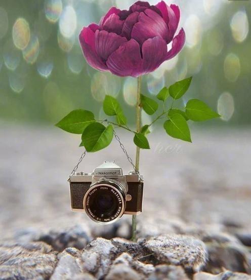 励志学习的个性经典话，挑一句话送给自己！(图4)