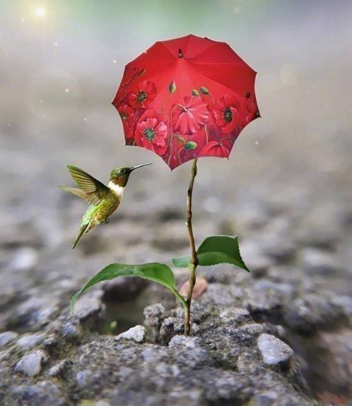 励志学习的个性经典话，挑一句话送给自己！(图5)