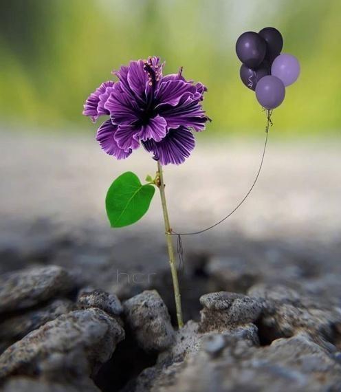 励志学习的个性经典话，挑一句话送给自己！(图7)