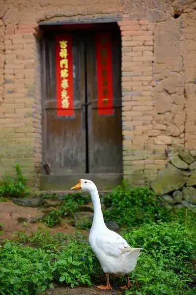 9首古诗致青春：岁月不老，青春不朽(图6)