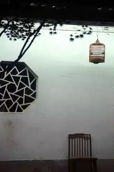 9首古诗致青春：岁月不老，青春不朽(图7)