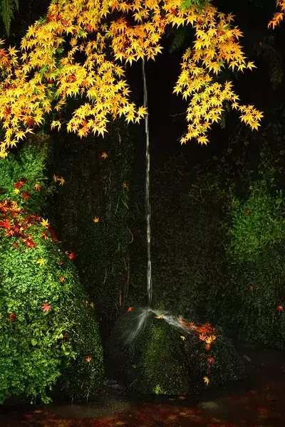 9首古诗致青春：岁月不老，青春不朽(图9)