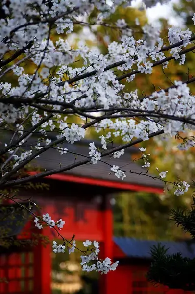 9首古诗致青春：岁月不老，青春不朽(图11)