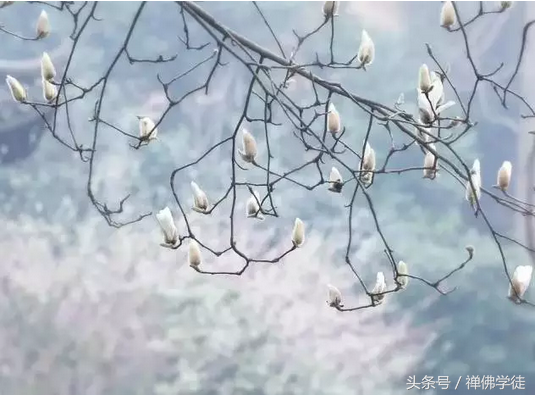 六句箴言，让你的生活越来越顺(图3)