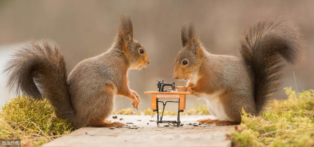 三毛《万水千山走遍》十句话教给我们十个道理(图7)